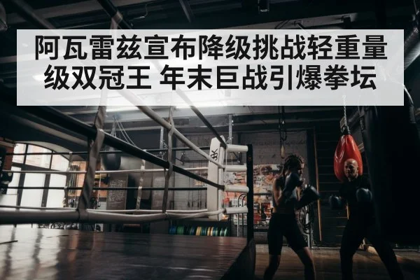 boxer training