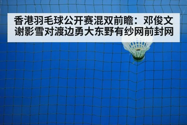 badminton net play